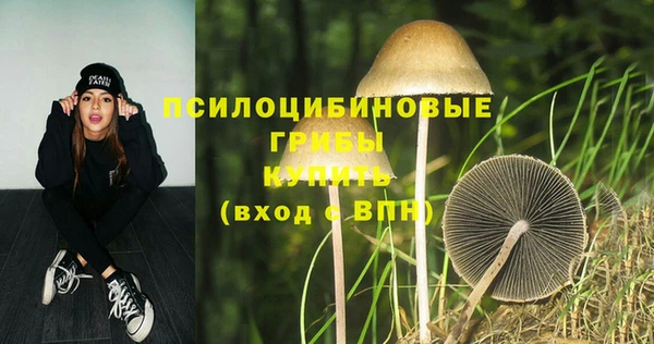 мет Абаза